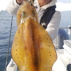 ソルトウォーターガイドフレンズ 釣果