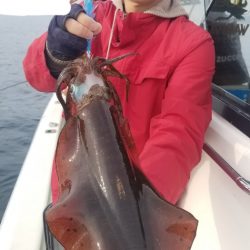 ソルトウォーターガイドフレンズ 釣果