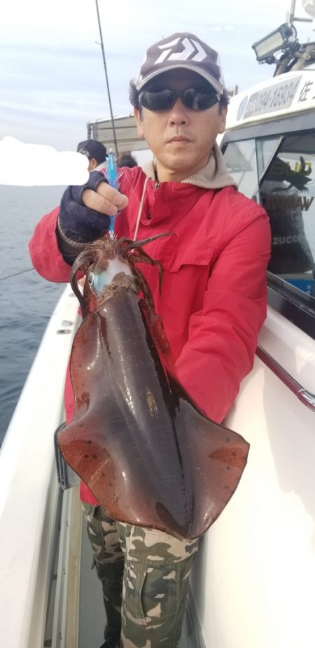 ソルトウォーターガイドフレンズ 釣果