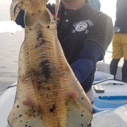 ソルトウォーターガイドフレンズ 釣果