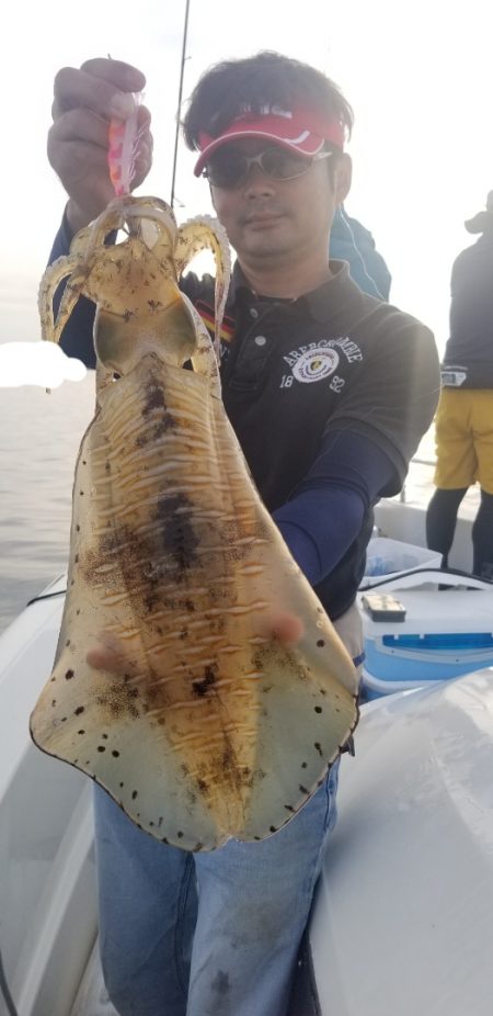 ソルトウォーターガイドフレンズ 釣果