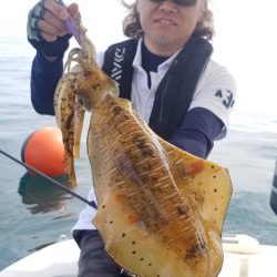 ソルトウォーターガイドフレンズ 釣果