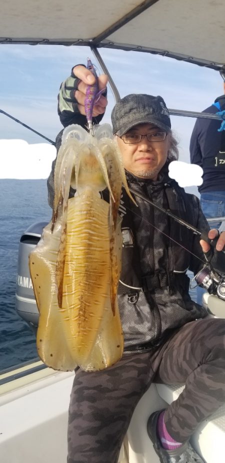 ソルトウォーターガイドフレンズ 釣果