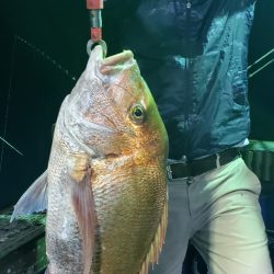 海龍丸（石川） 釣果