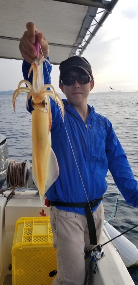 ソルトウォーターガイドフレンズ 釣果