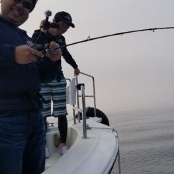 ソルトウォーターガイドフレンズ 釣果