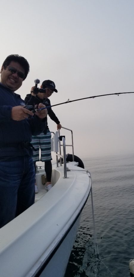 ソルトウォーターガイドフレンズ 釣果