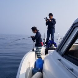 ソルトウォーターガイドフレンズ 釣果