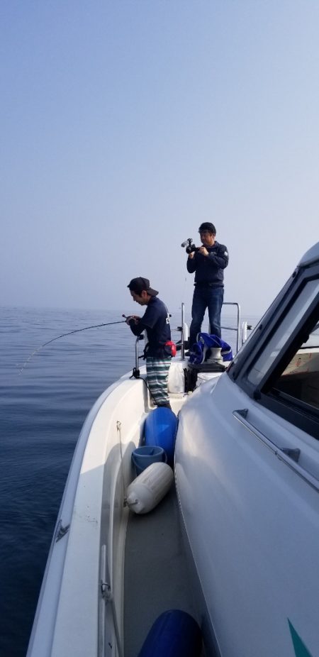 ソルトウォーターガイドフレンズ 釣果