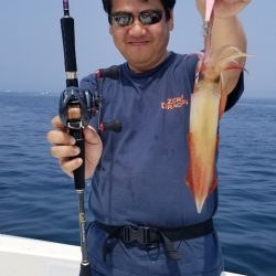 ソルトウォーターガイドフレンズ 釣果