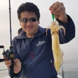 ソルトウォーターガイドフレンズ 釣果