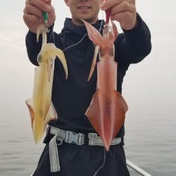 ソルトウォーターガイドフレンズ 釣果