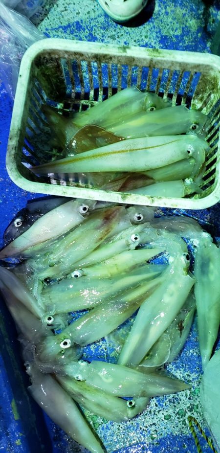 海龍丸（石川） 釣果