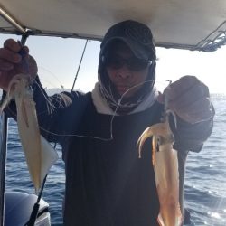 ソルトウォーターガイドフレンズ 釣果