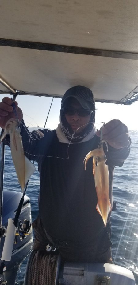 ソルトウォーターガイドフレンズ 釣果