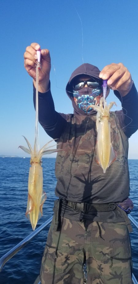 ソルトウォーターガイドフレンズ 釣果