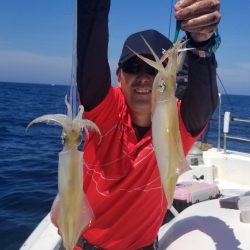 ソルトウォーターガイドフレンズ 釣果