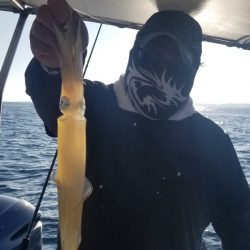 ソルトウォーターガイドフレンズ 釣果