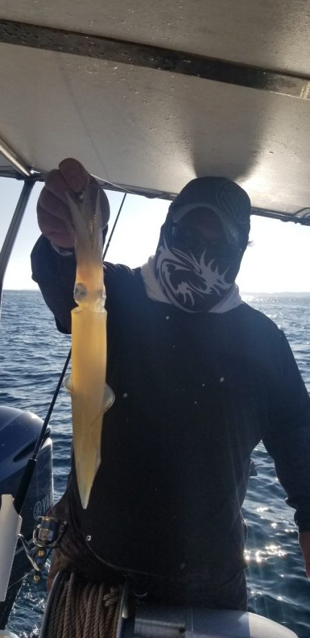 ソルトウォーターガイドフレンズ 釣果