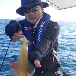 ソルトウォーターガイドフレンズ 釣果