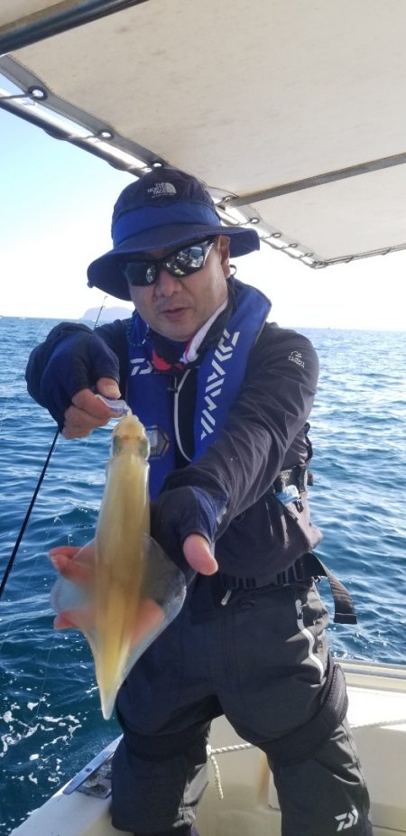 ソルトウォーターガイドフレンズ 釣果