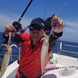 ソルトウォーターガイドフレンズ 釣果