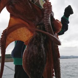 遊漁船 家入 釣果