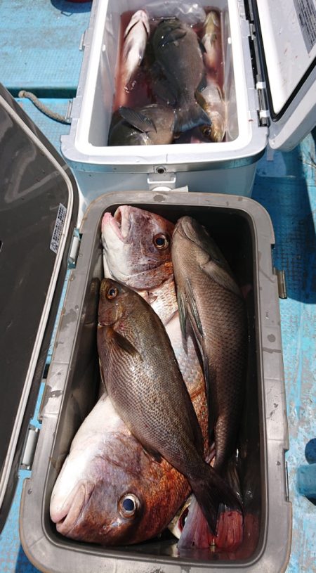 シースナイパー海龍 釣果