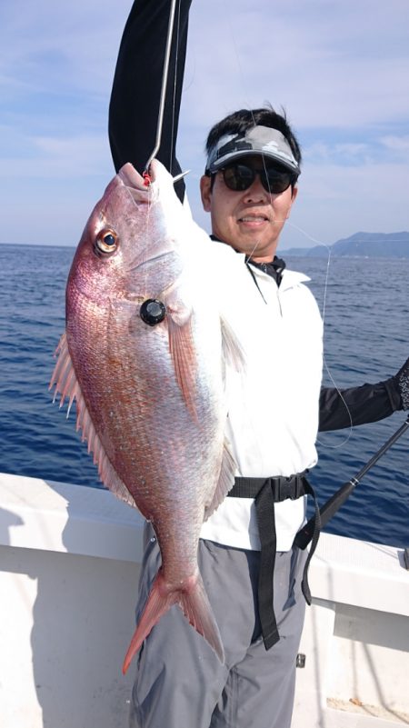 ARCADIAⅡ (アルカディアⅡ) 釣果