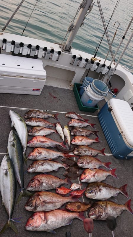 ARCADIAⅡ (アルカディアⅡ) 釣果