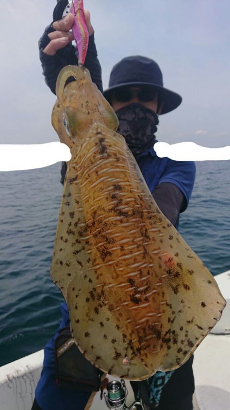 きずなまりん 釣果