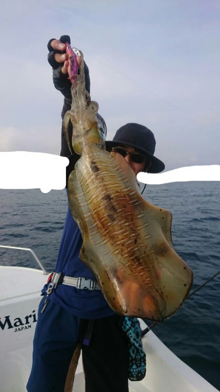 きずなまりん 釣果