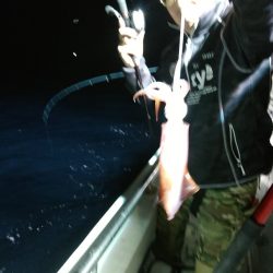 LUSTER『ラスター』 釣果