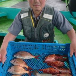 小島丸 釣果