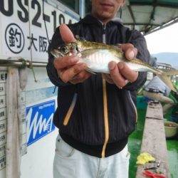 小島丸 釣果