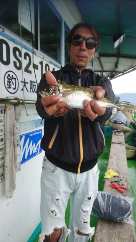 小島丸 釣果