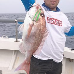 ARCADIAⅡ （アルカディアⅡ） 釣果