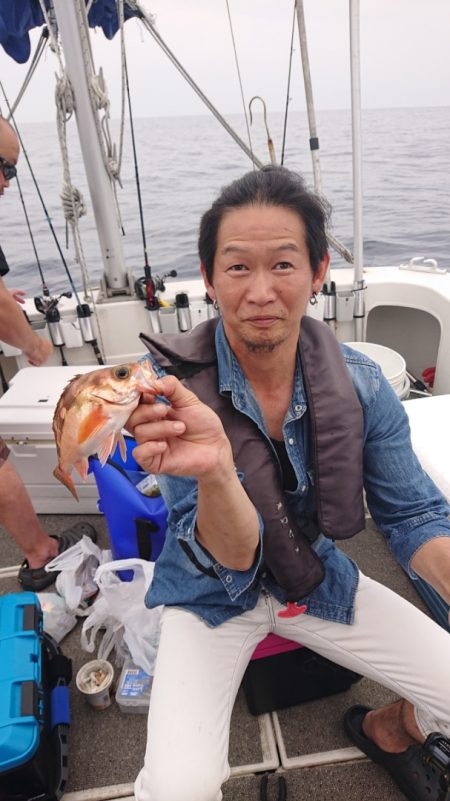 ARCADIAⅡ （アルカディアⅡ） 釣果