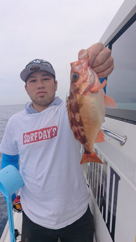 ARCADIAⅡ （アルカディアⅡ） 釣果