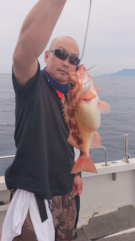 ARCADIAⅡ （アルカディアⅡ） 釣果