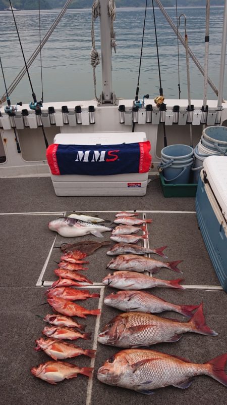 ARCADIAⅡ （アルカディアⅡ） 釣果…