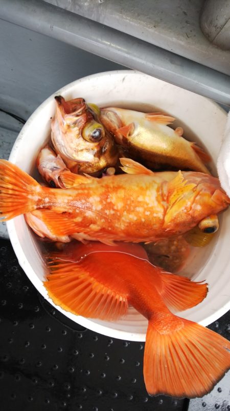 第二龍勢丸 釣果