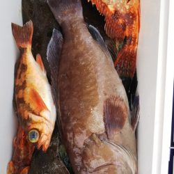 第二龍勢丸 釣果