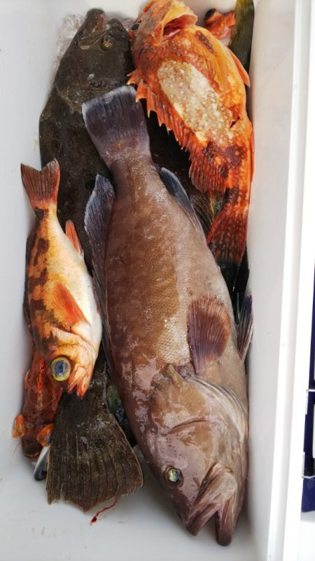 第二龍勢丸 釣果