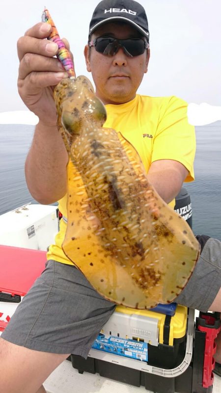 きずなまりん 釣果