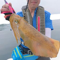 きずなまりん 釣果