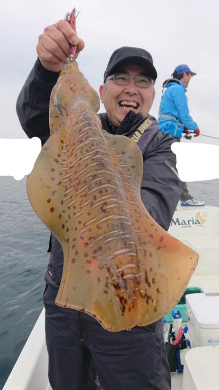 きずなまりん 釣果