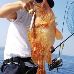 第二龍勢丸 釣果