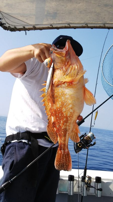 第二龍勢丸 釣果