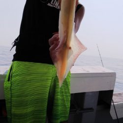 第二龍勢丸 釣果